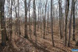 28 Long Leaf Ln